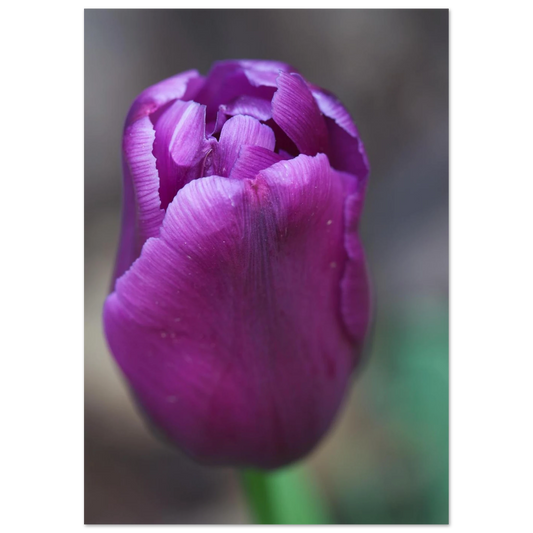 8295f6a0-ed49-47b1-8933-ace85e55b2d7