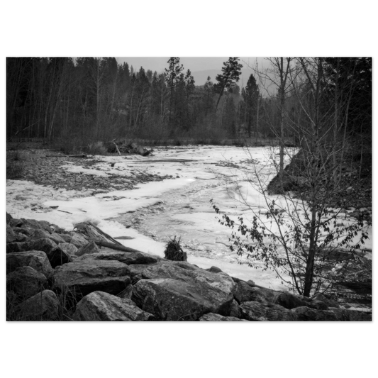 94e0c54f-5446-451b-9f59-44f63fd38dd7