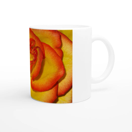 980ae663-9dc0-4bcc-888c-7e9268e4e051