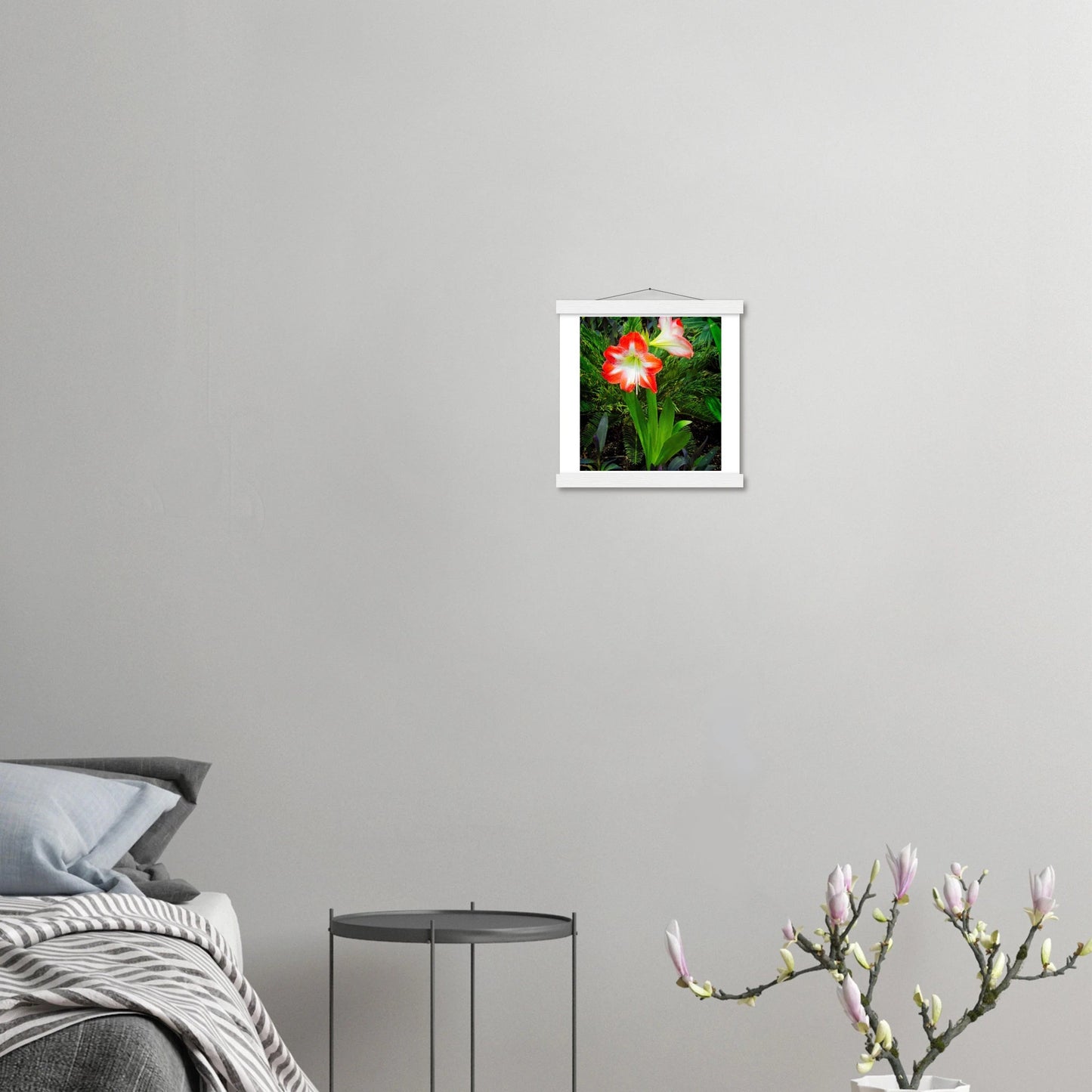 Amaryllis Poster with Hanger - Elegant Indoor Display with Durable Pine Wood Frame - Dave Pattinson Photography Online Shop