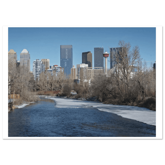 Red Tulip Poster Elegant Premium Matte Floral Art