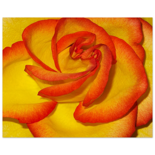 ee69b53d-1d1c-4827-8324-8a63112aab64