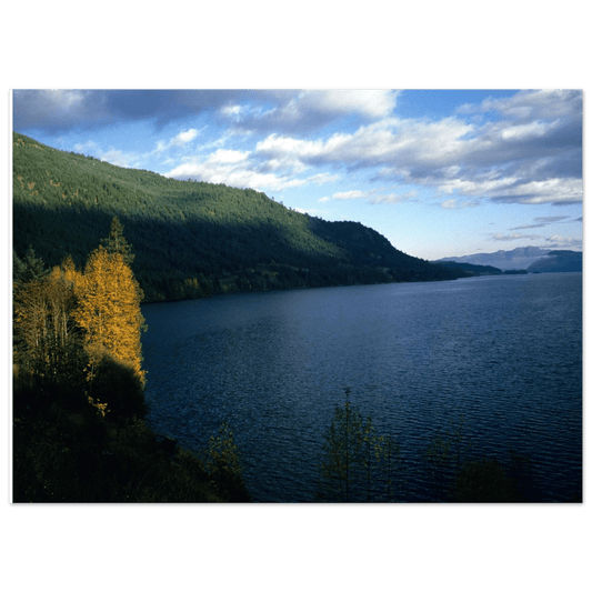 Kennedy Lake BC Poster – Premium Matte Art Print - Dave Pattinson Photography Online Shop
