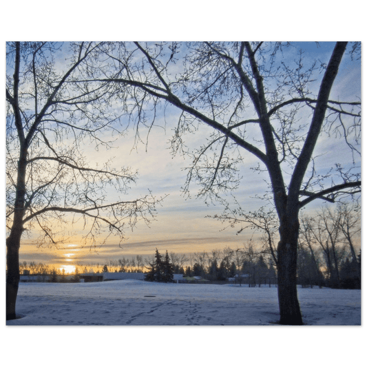 Premium Matte Paper Poster - Dave Pattinson Photography Online Shop