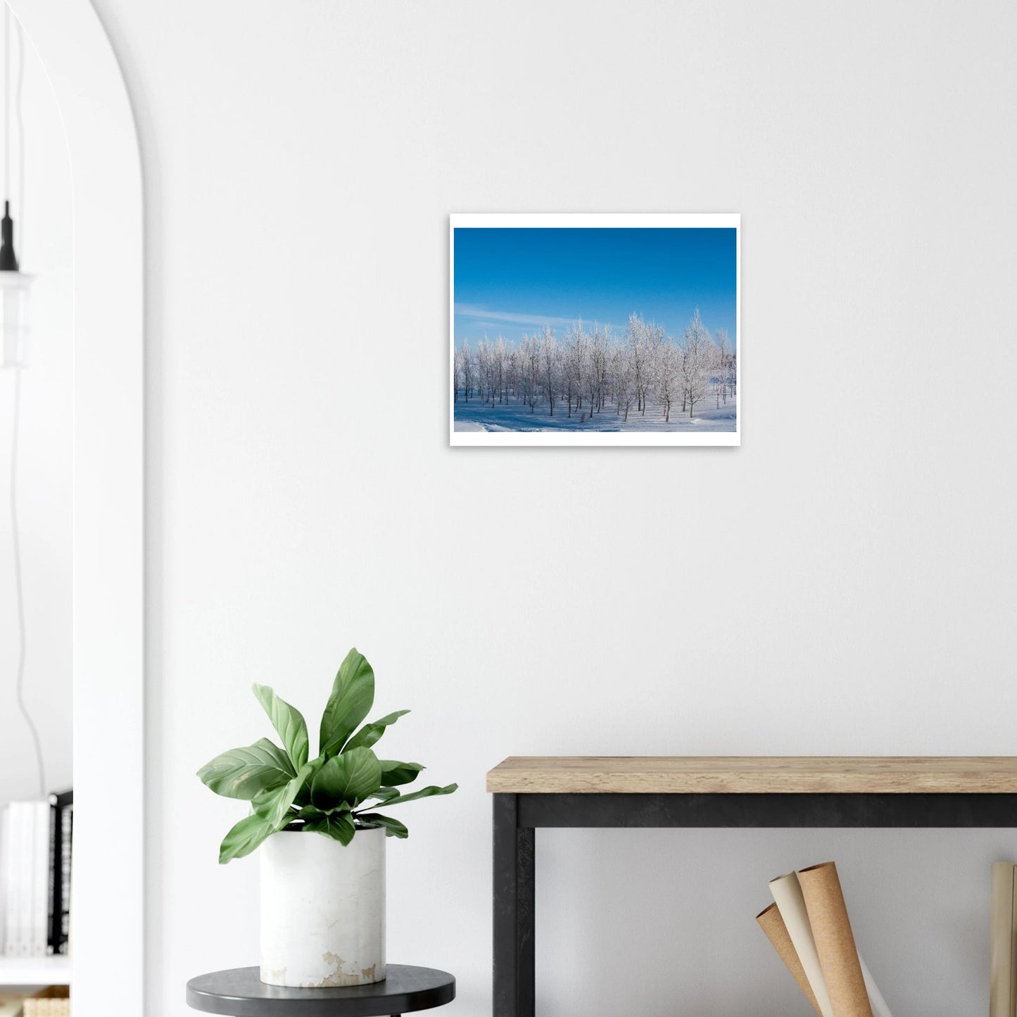 Snowy Trees at Sunrise Poster – Premium Matte Art Print of Alberta's Landscape - Dave Pattinson Photography Online Shop