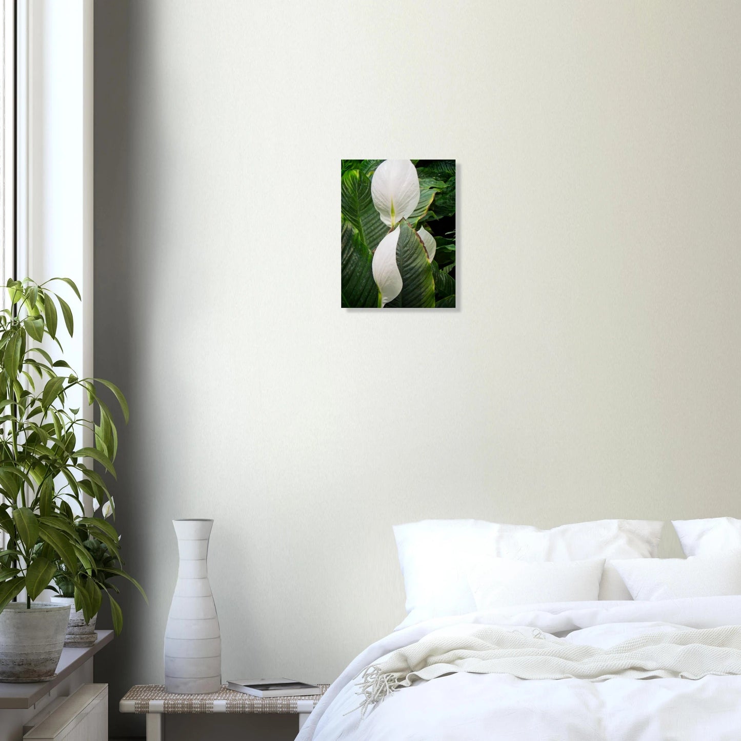 Spathiphyllum Wallisii Poster – Devonian Gardens, Calgary, Alberta - Dave Pattinson Photography Online Shop