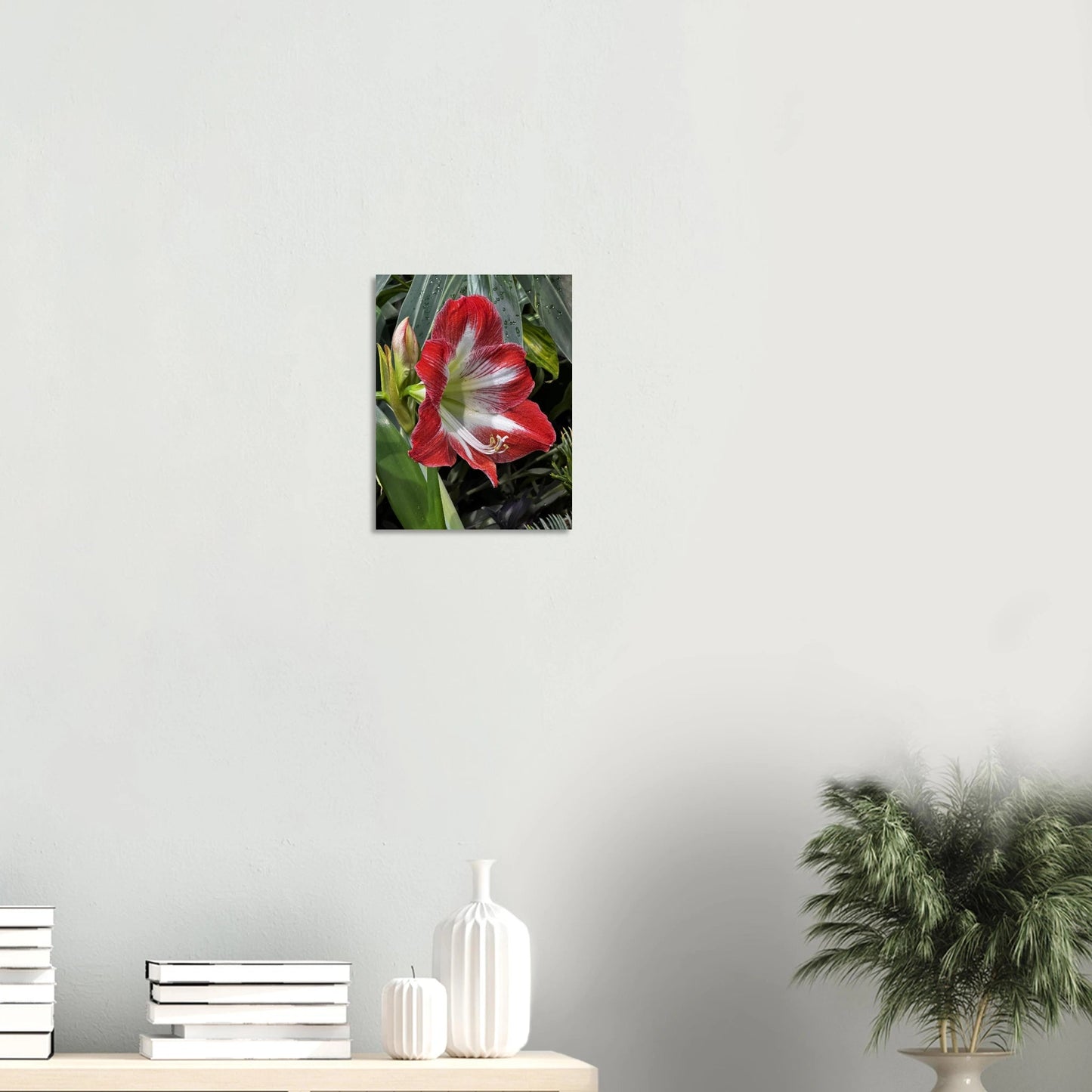 Stunning Amaryllis Flowers Poster – Devonian Gardens Design - Dave Pattinson Photography Online Shop