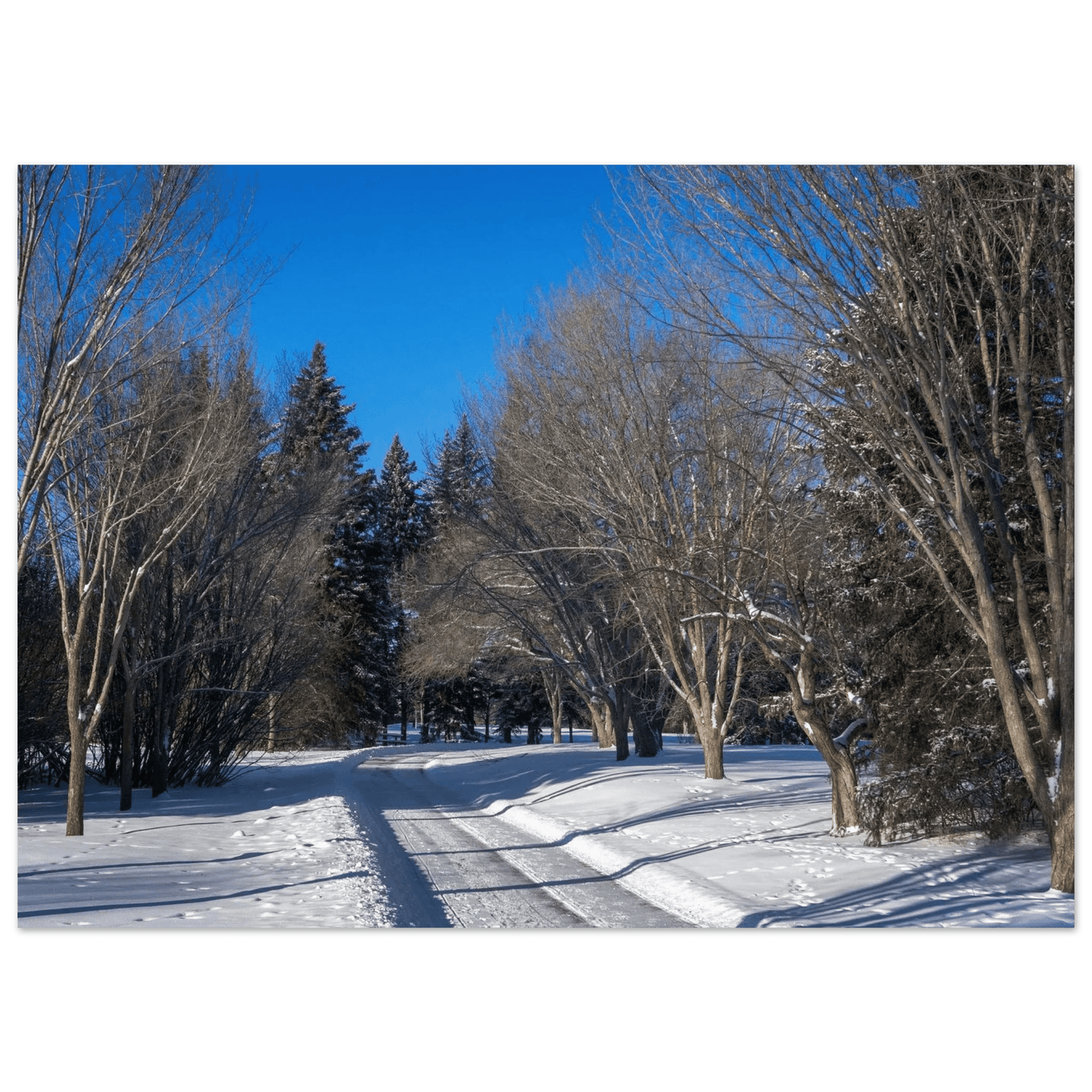 POSTERS - Dave Pattinson Photography Online Shop