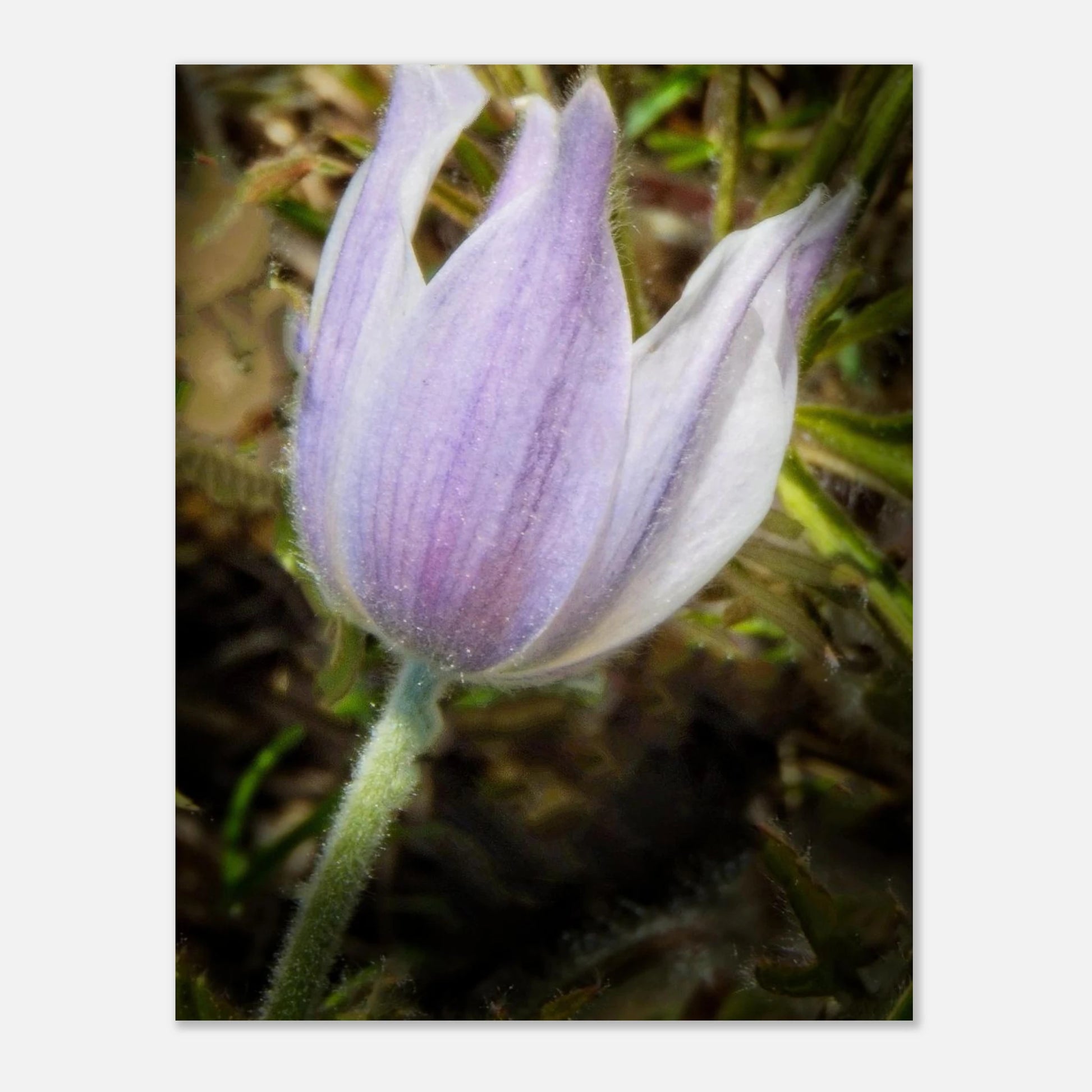 07518e69-ead7-4c5c-8658-753e844d8b8d