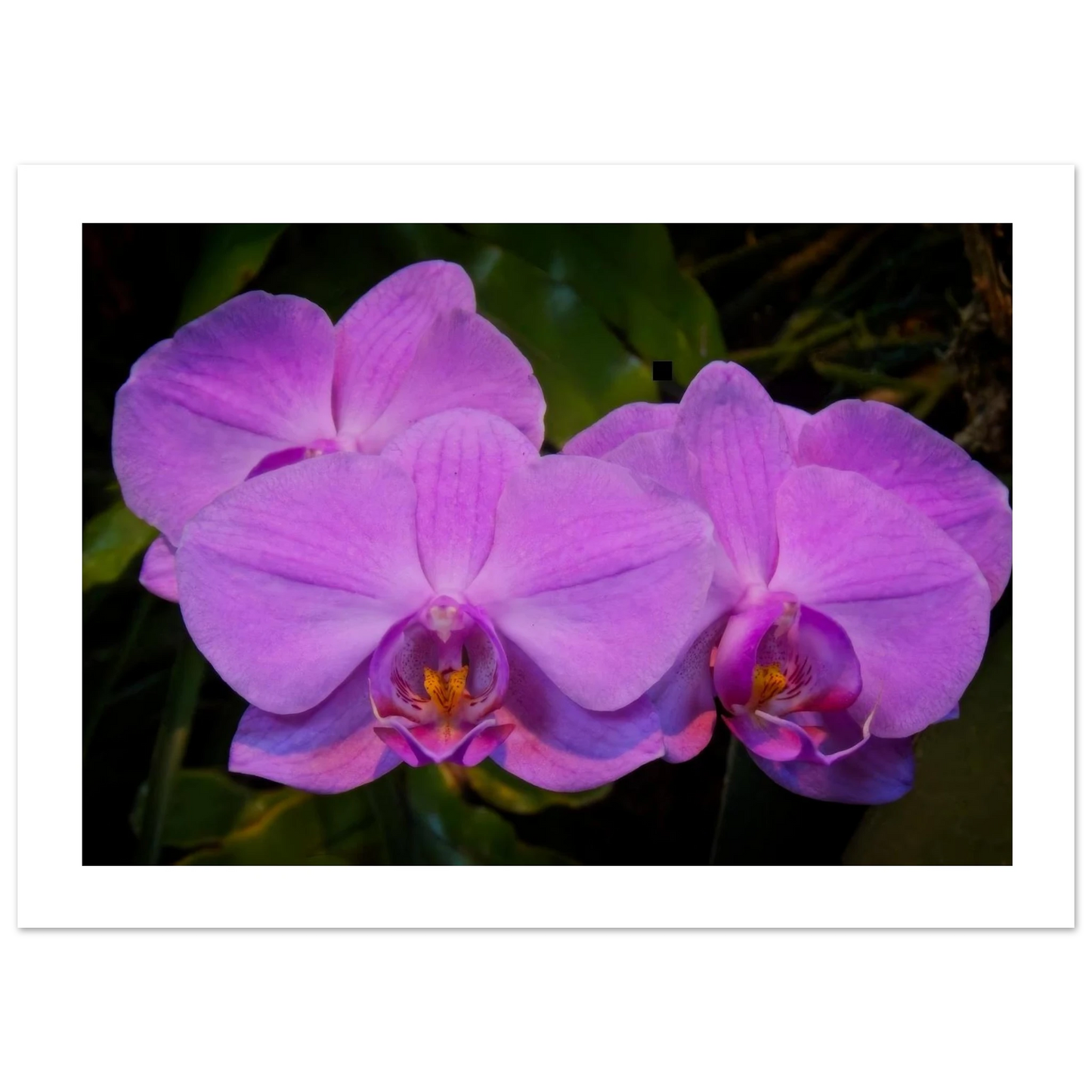 09ade45d-e748-468d-8763-891e42d1d7c7