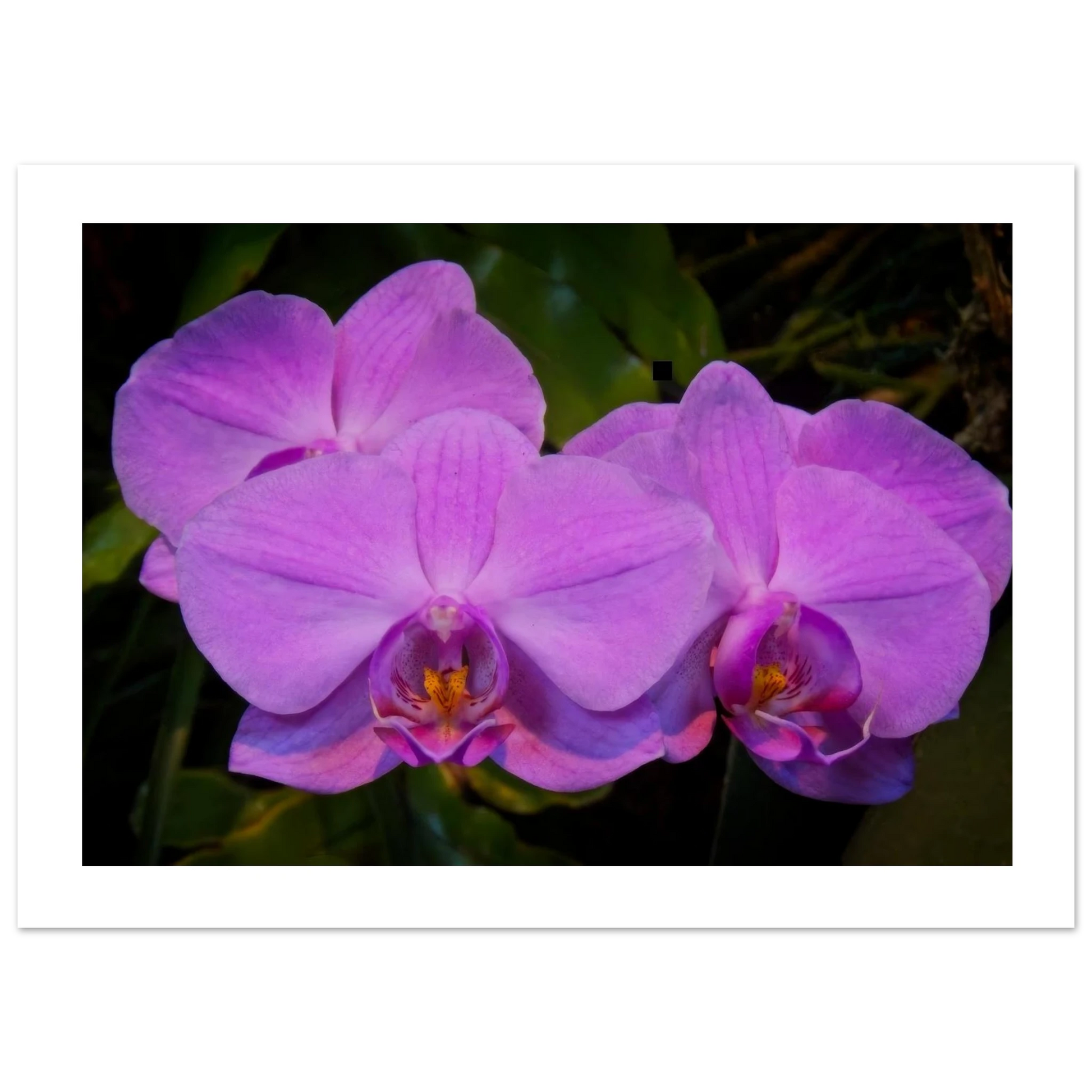 09ade45d-e748-468d-8763-891e42d1d7c7