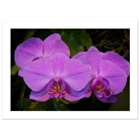 09ade45d-e748-468d-8763-891e42d1d7c7