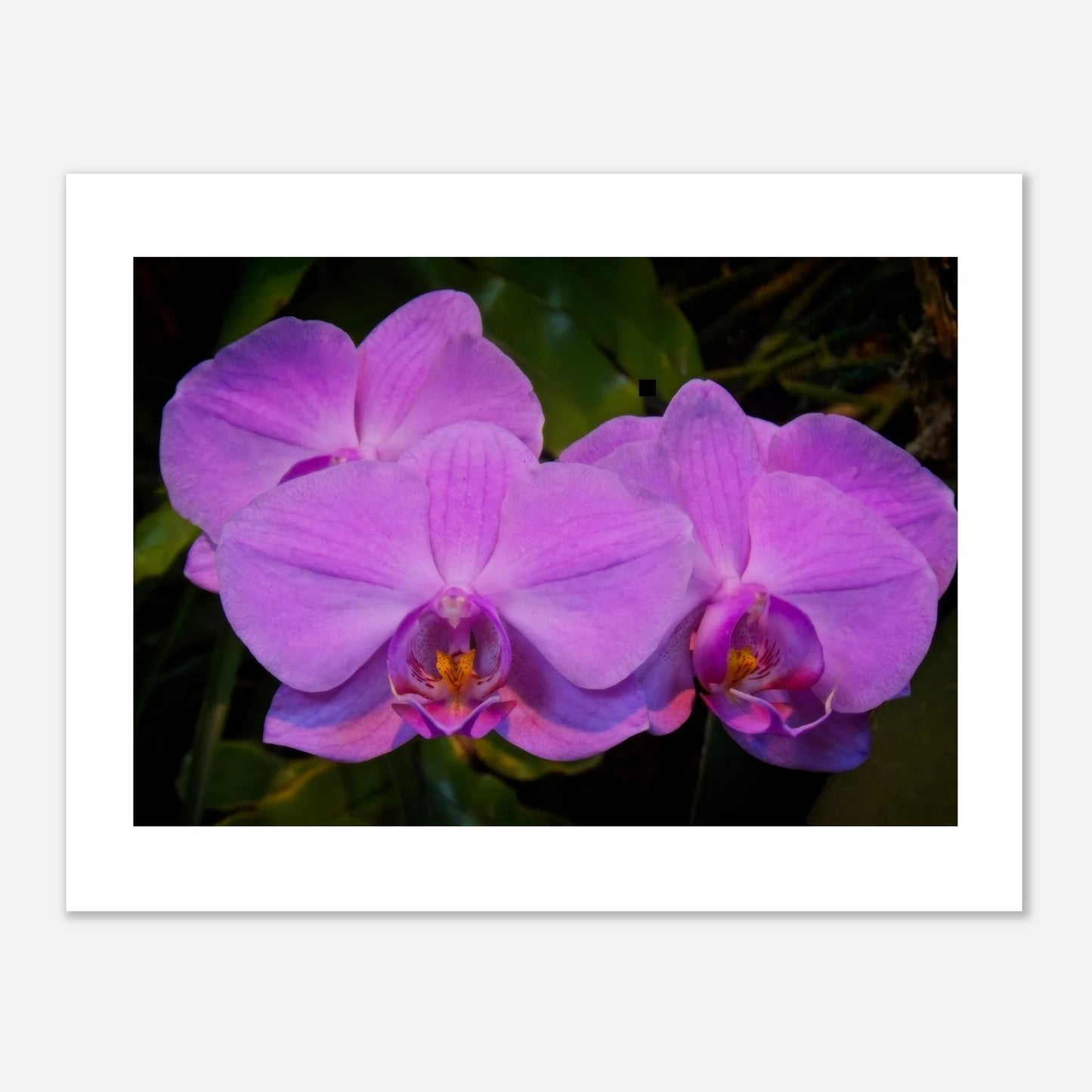 10f00624-345c-4402-925b-966880b1a366