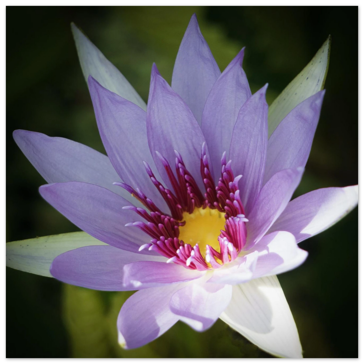 127374d8-6fab-45f4-a387-a6114e459f2d