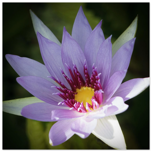 127374d8-6fab-45f4-a387-a6114e459f2d