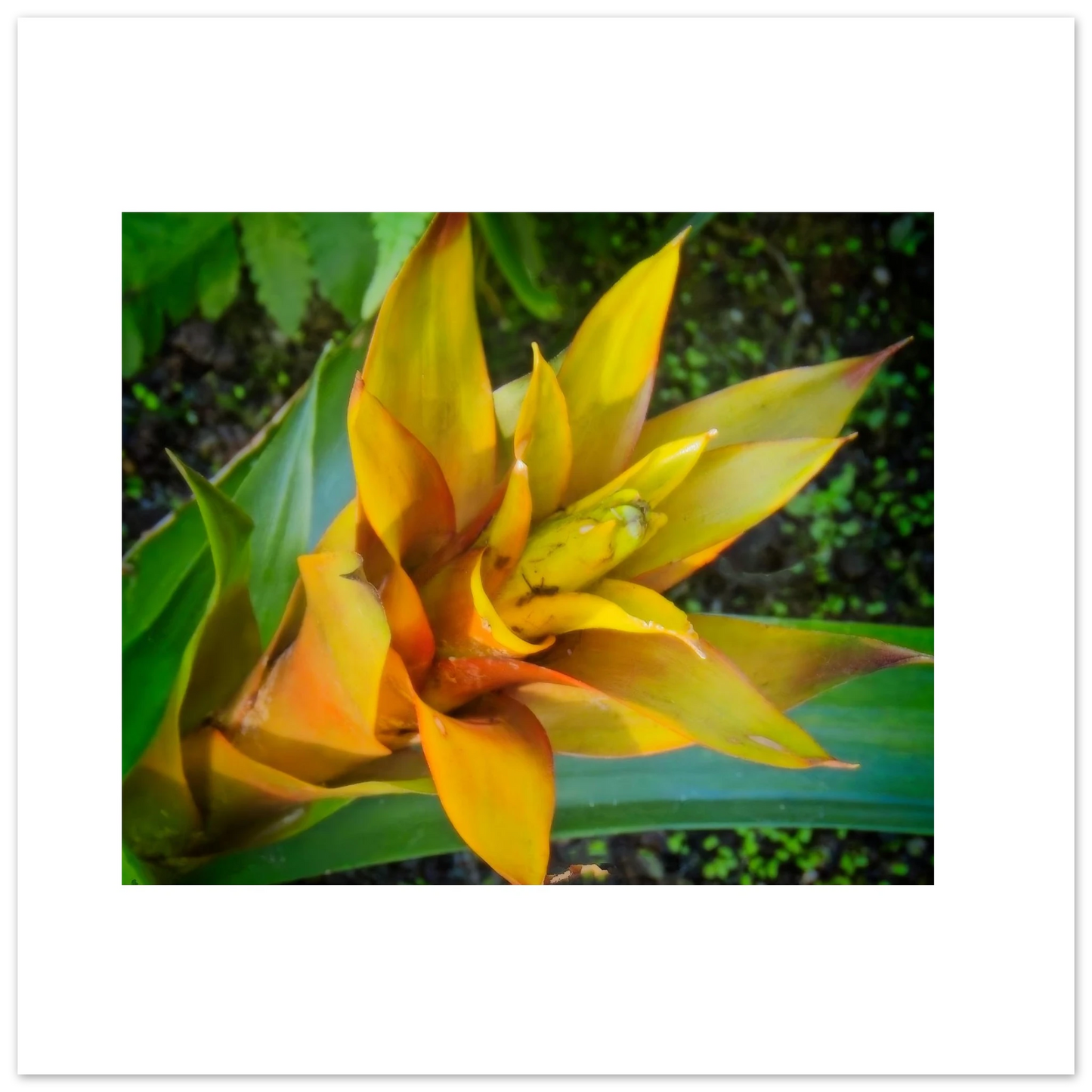 1bc6d45b-17d4-40d7-b9e1-cf81478d1dd3