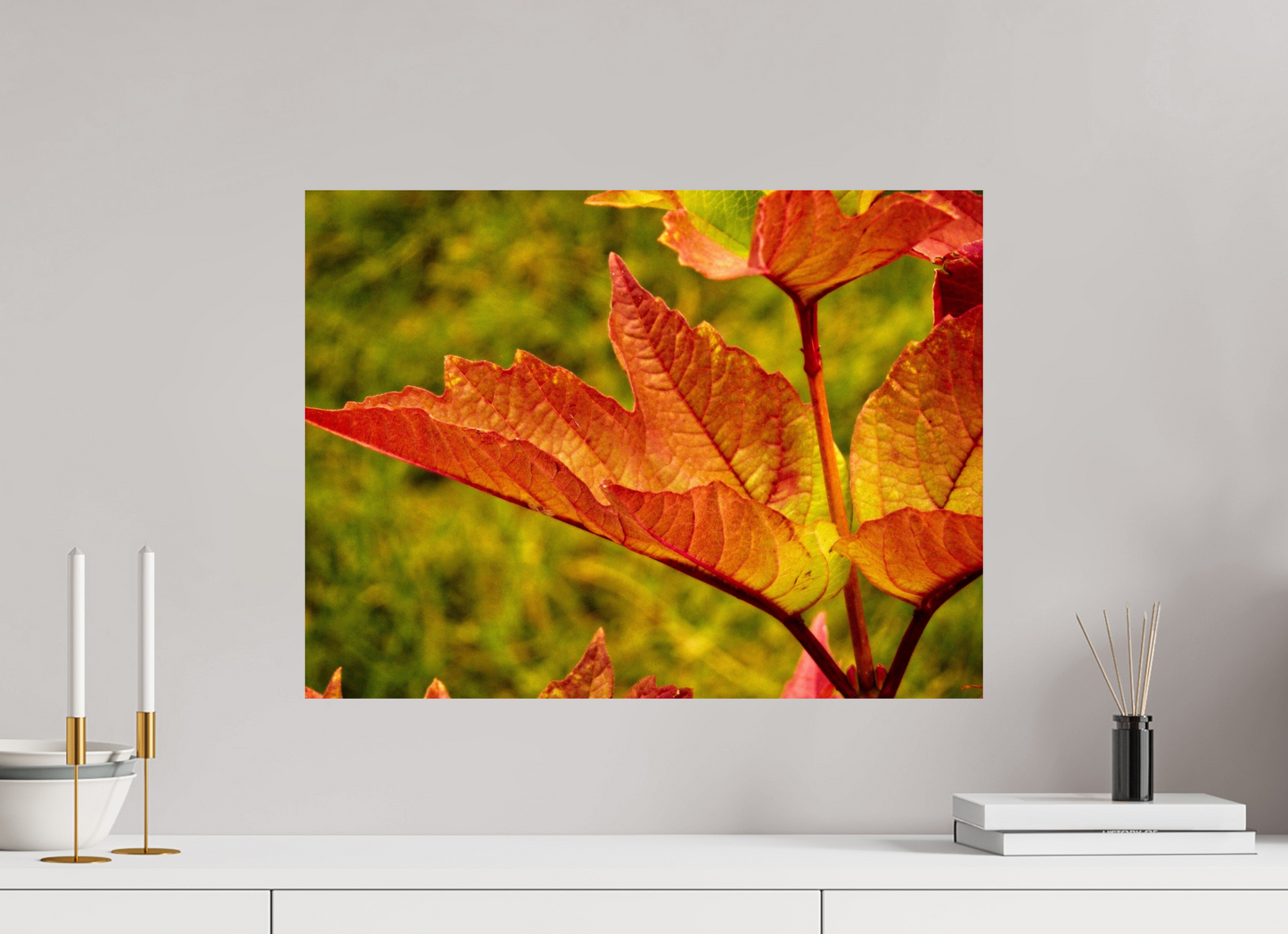 60 x 45 cm, Photo Print On Fuji Crystal DP II Maple Leaf