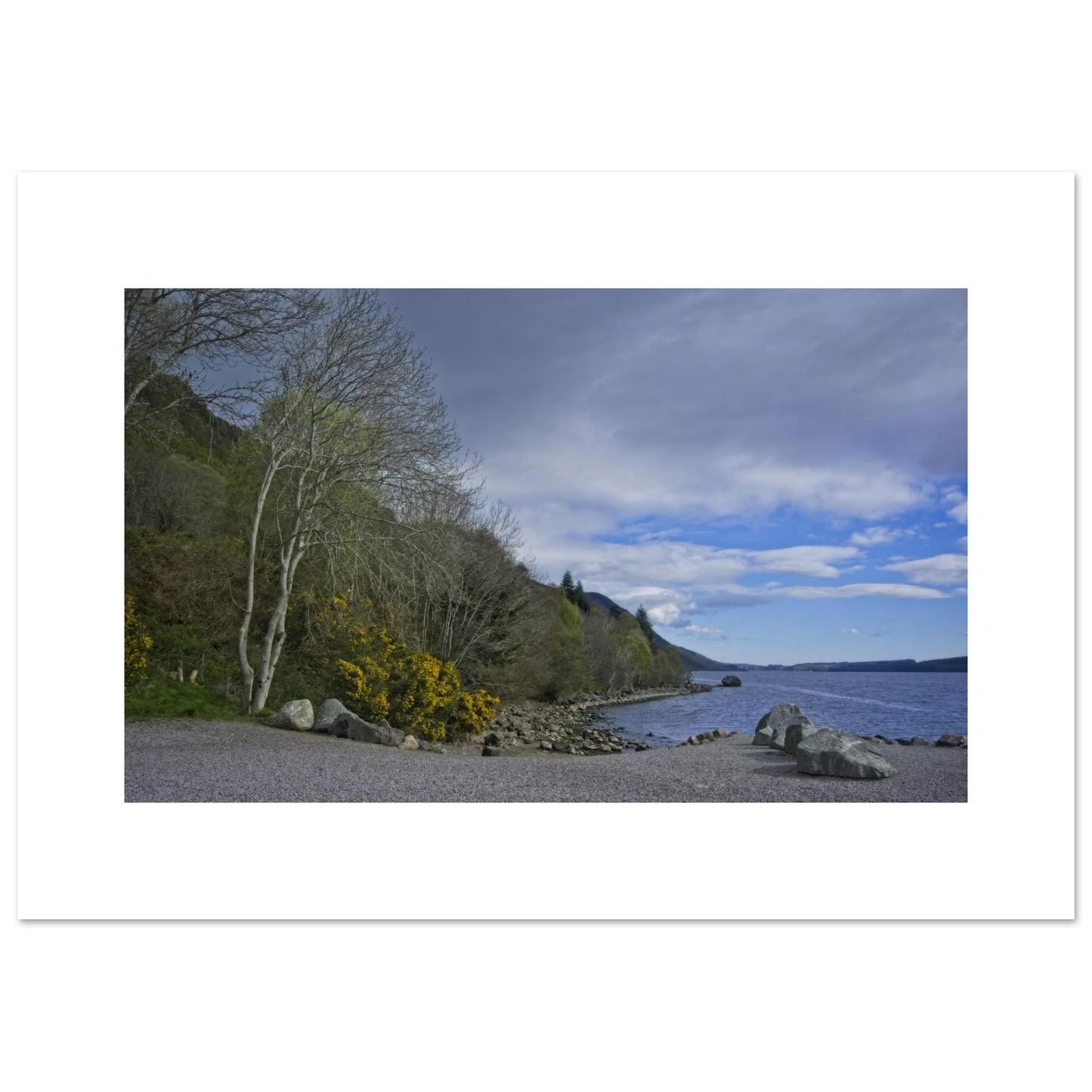 1d55164c-7b1b-4458-9591-23f3cad1529e