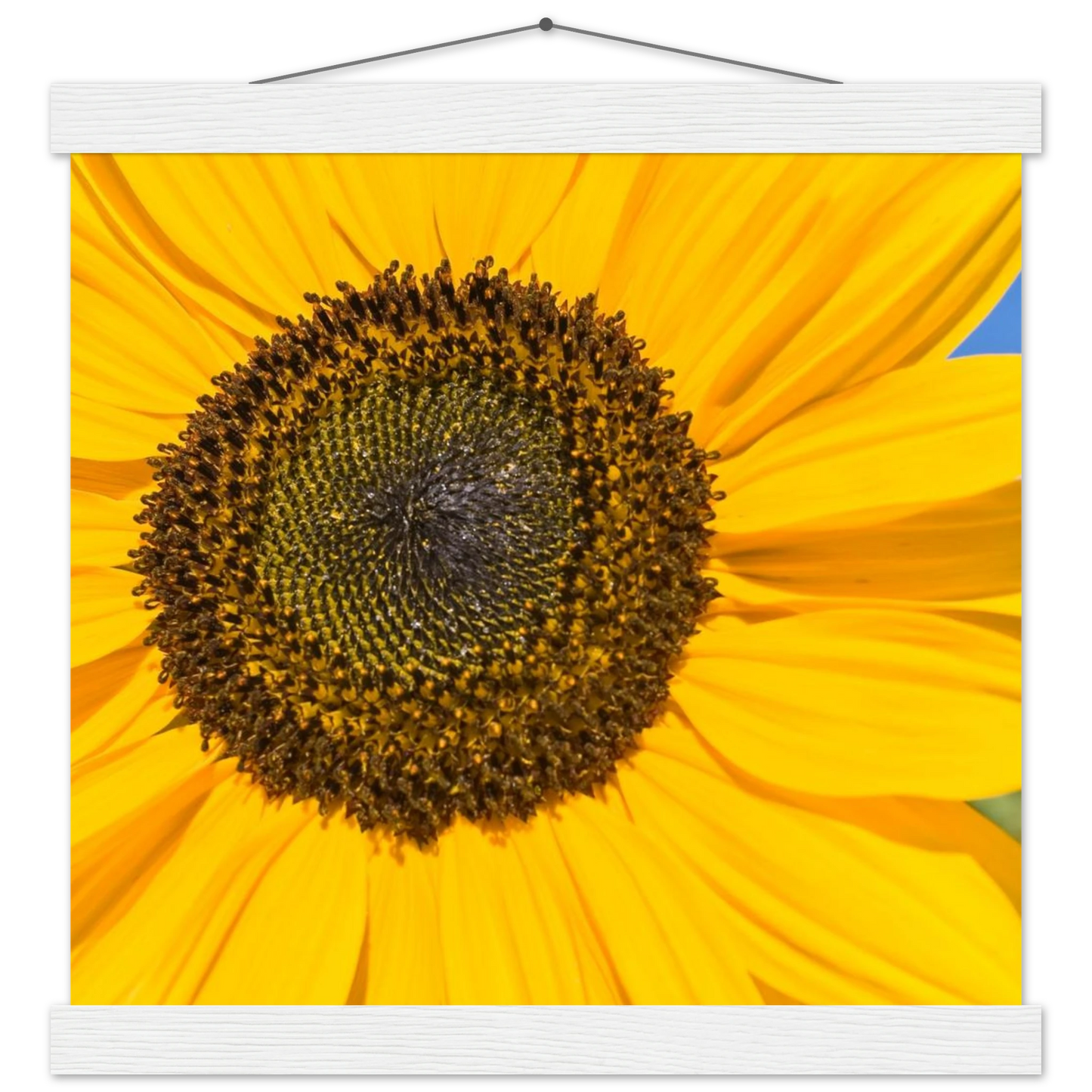 1ea960c0-7052-4215-bb03-82f953c81162