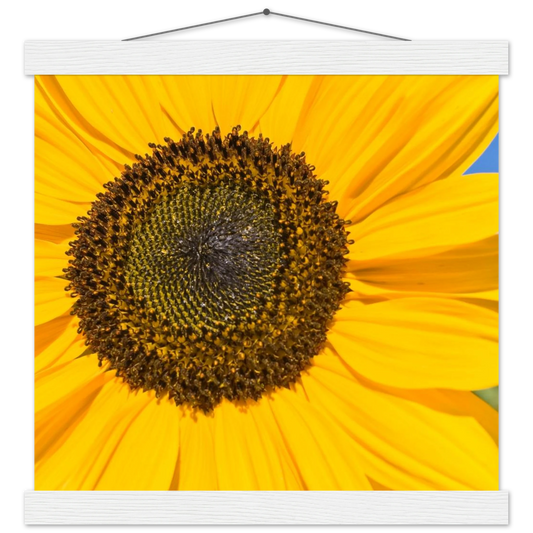 1ea960c0-7052-4215-bb03-82f953c81162