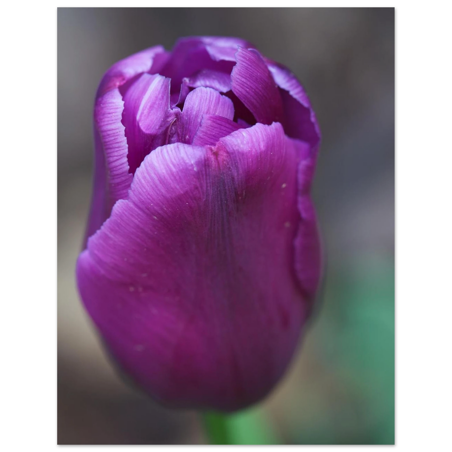 23406619-46dc-4ee2-b793-938844178d2f