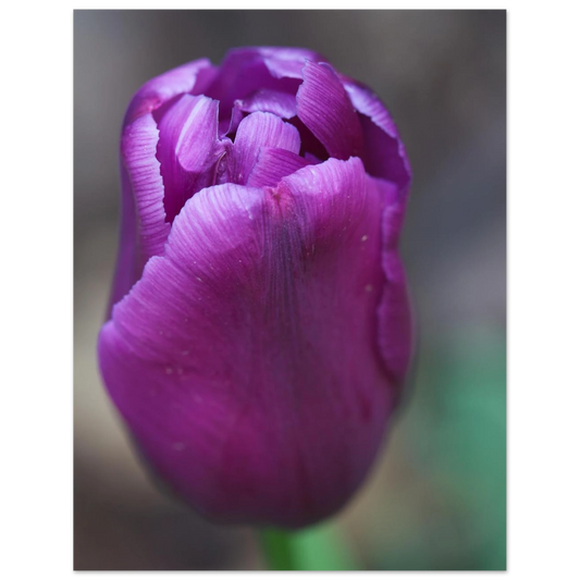 23406619-46dc-4ee2-b793-938844178d2f