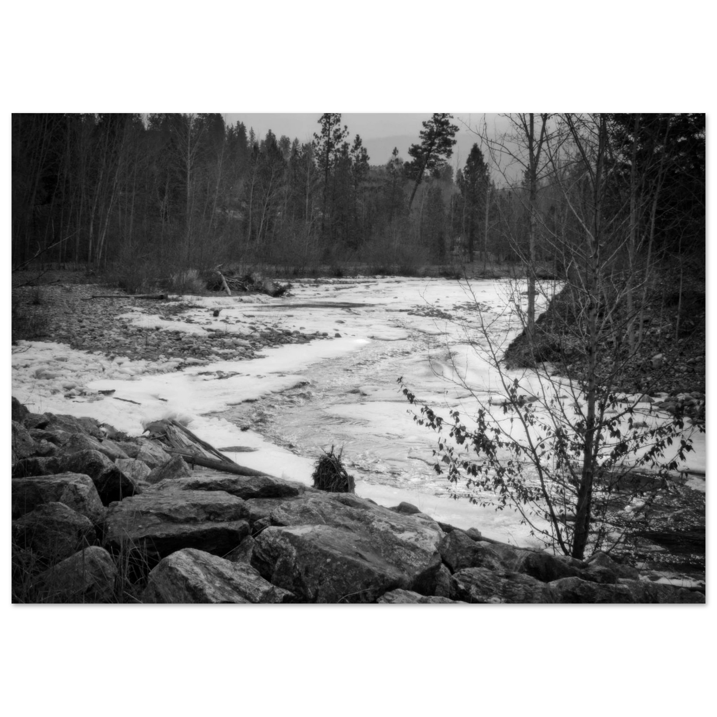 23aaa03e-78b3-4a98-aea2-76d98358b37a