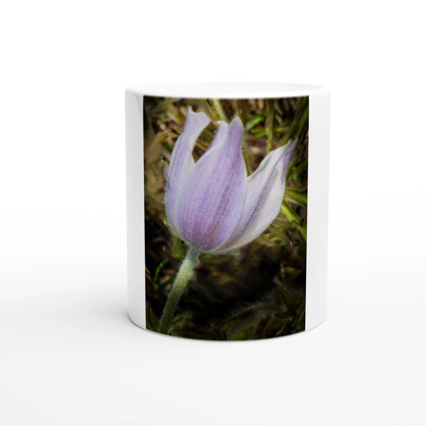 244f1e95-c115-45b3-96fd-2df6429d9138