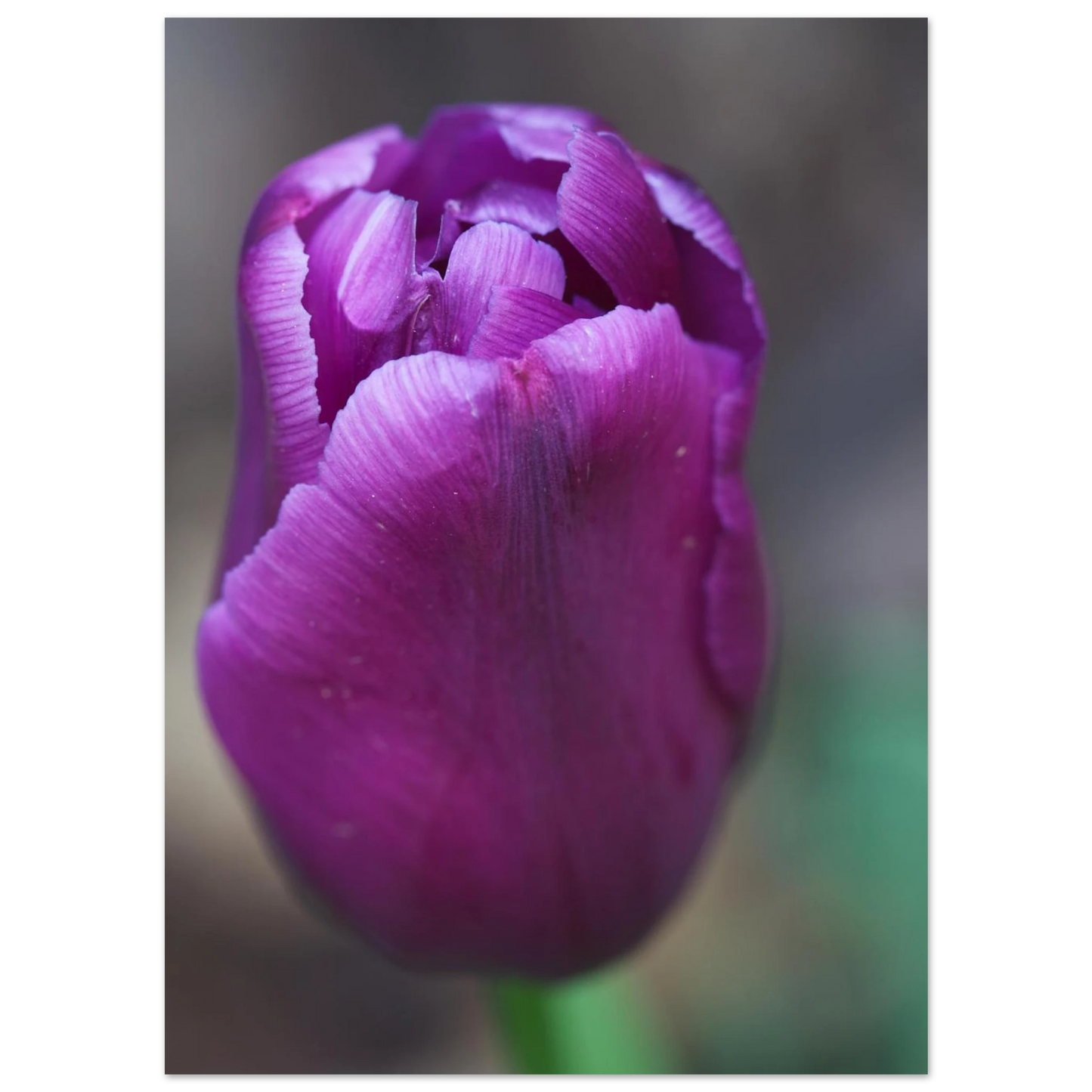 2ad591d6-31d6-4961-a98e-d161704c0912