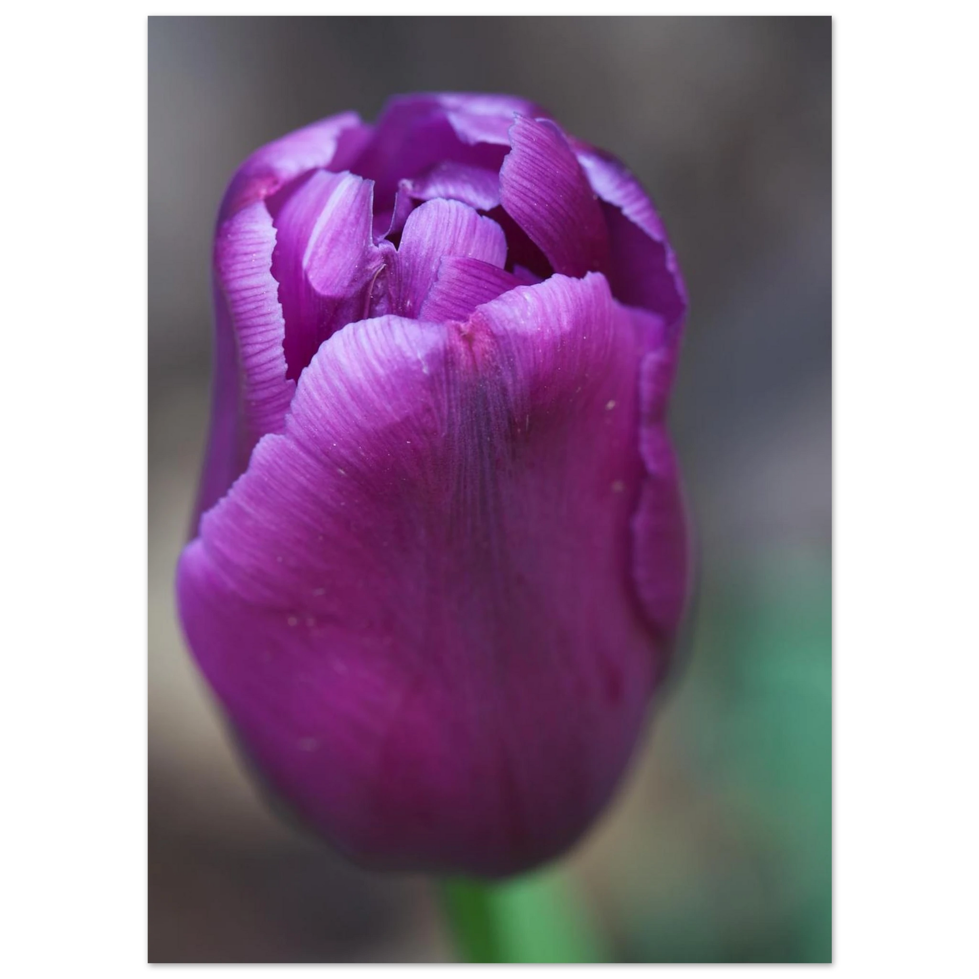 2ad591d6-31d6-4961-a98e-d161704c0912