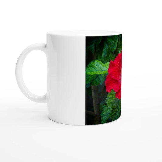 2ea3258d-6805-41c1-9a5d-4f3dec93eb21