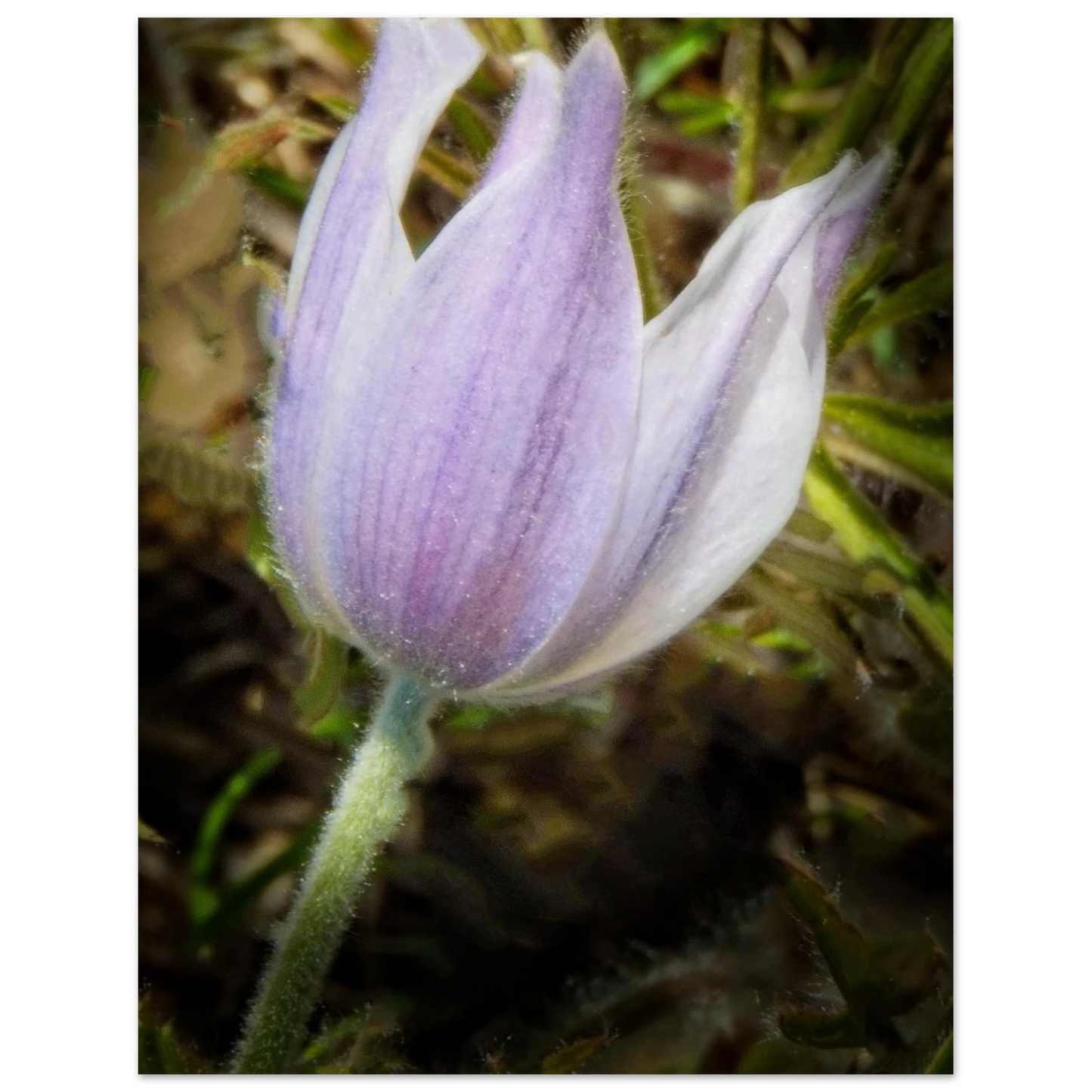 3248458d-5dd6-41a9-affd-d6098215de8b