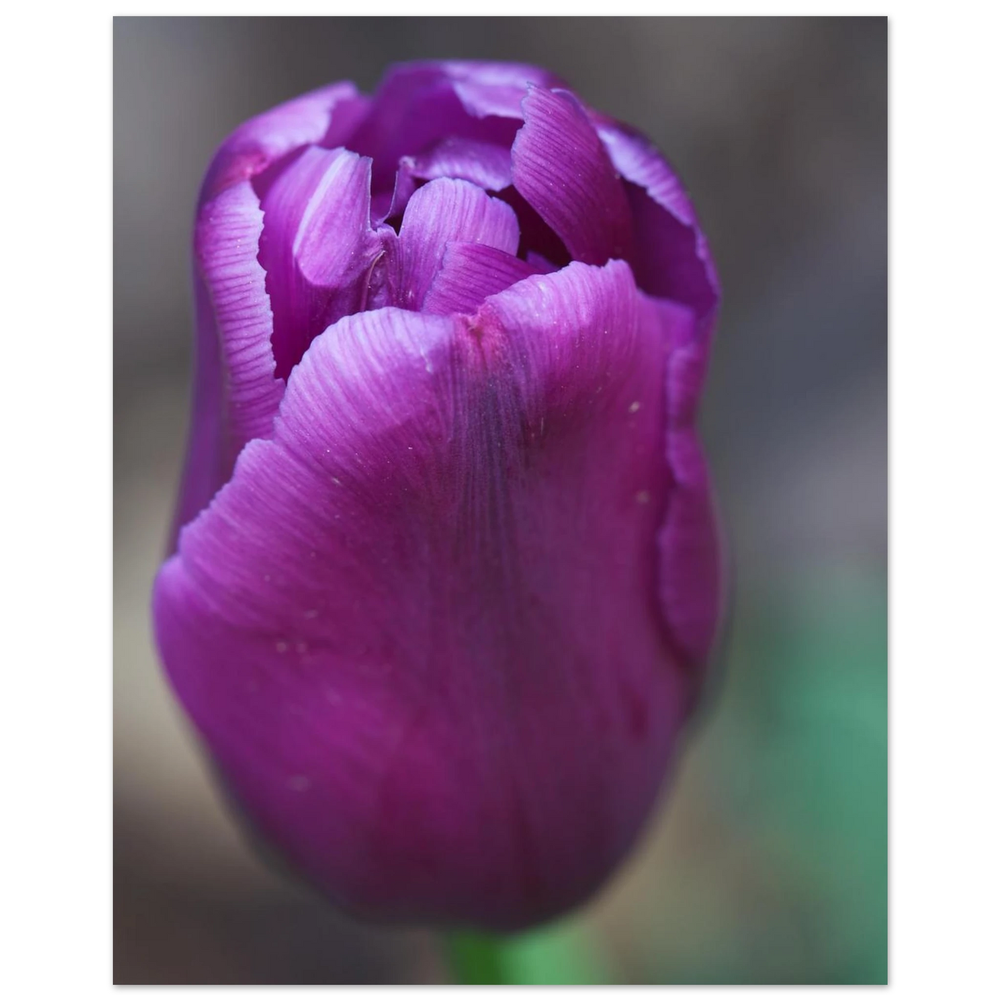 35d3677f-fafd-4ccc-8116-54815aa6d351