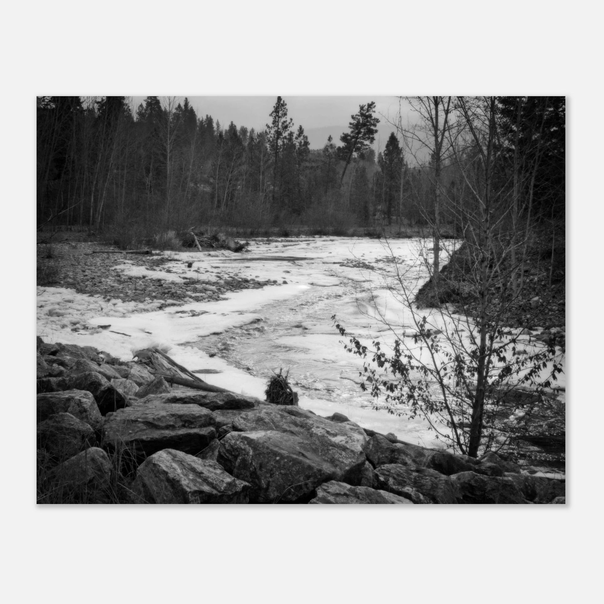 37a7a229-5bb1-4771-b94e-d93d547ff00a