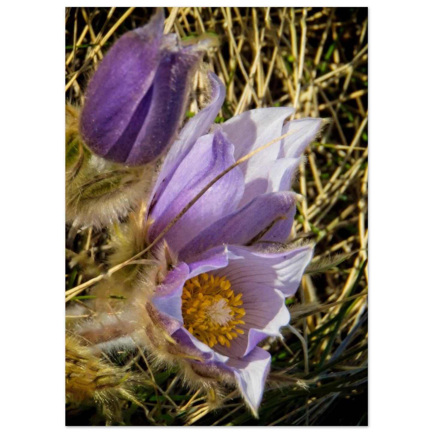 42c1b3c4-35da-47f0-9d42-fe0e9bfdaada