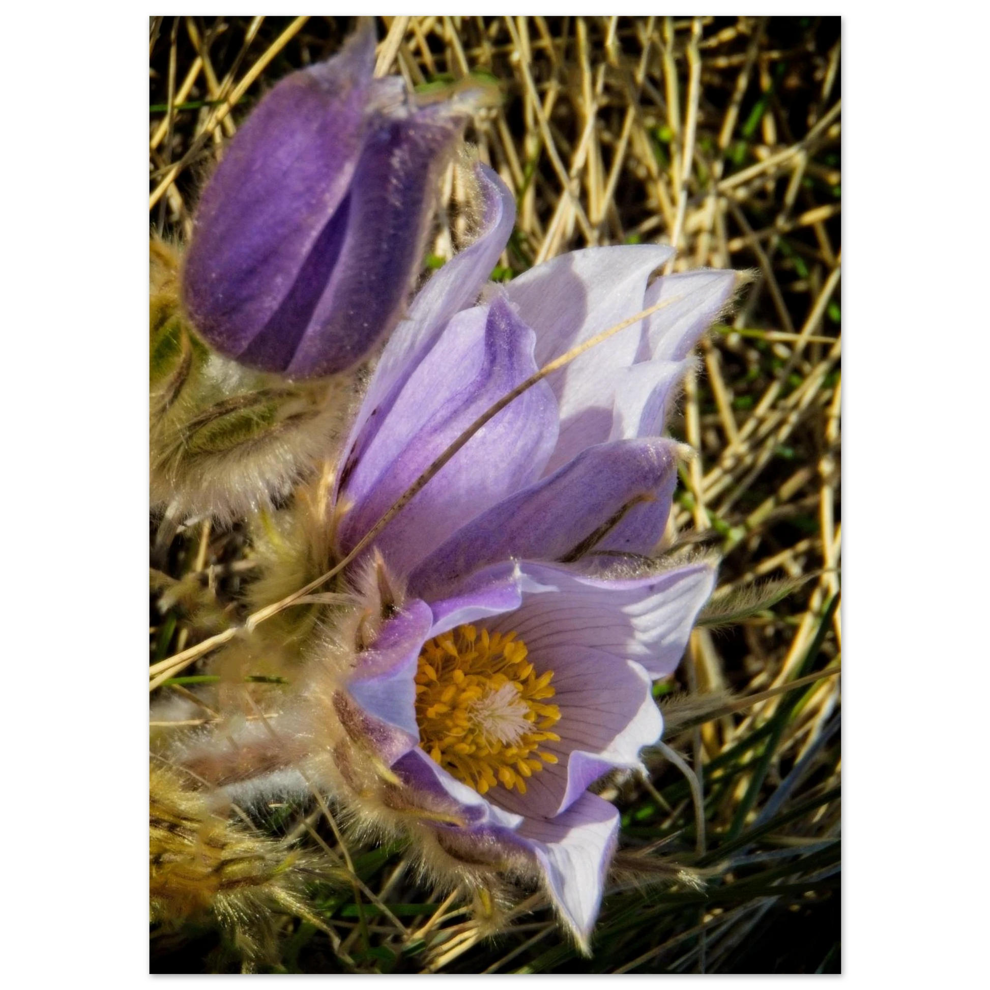 42c1b3c4-35da-47f0-9d42-fe0e9bfdaada