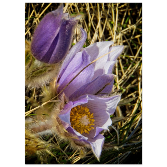 42c1b3c4-35da-47f0-9d42-fe0e9bfdaada