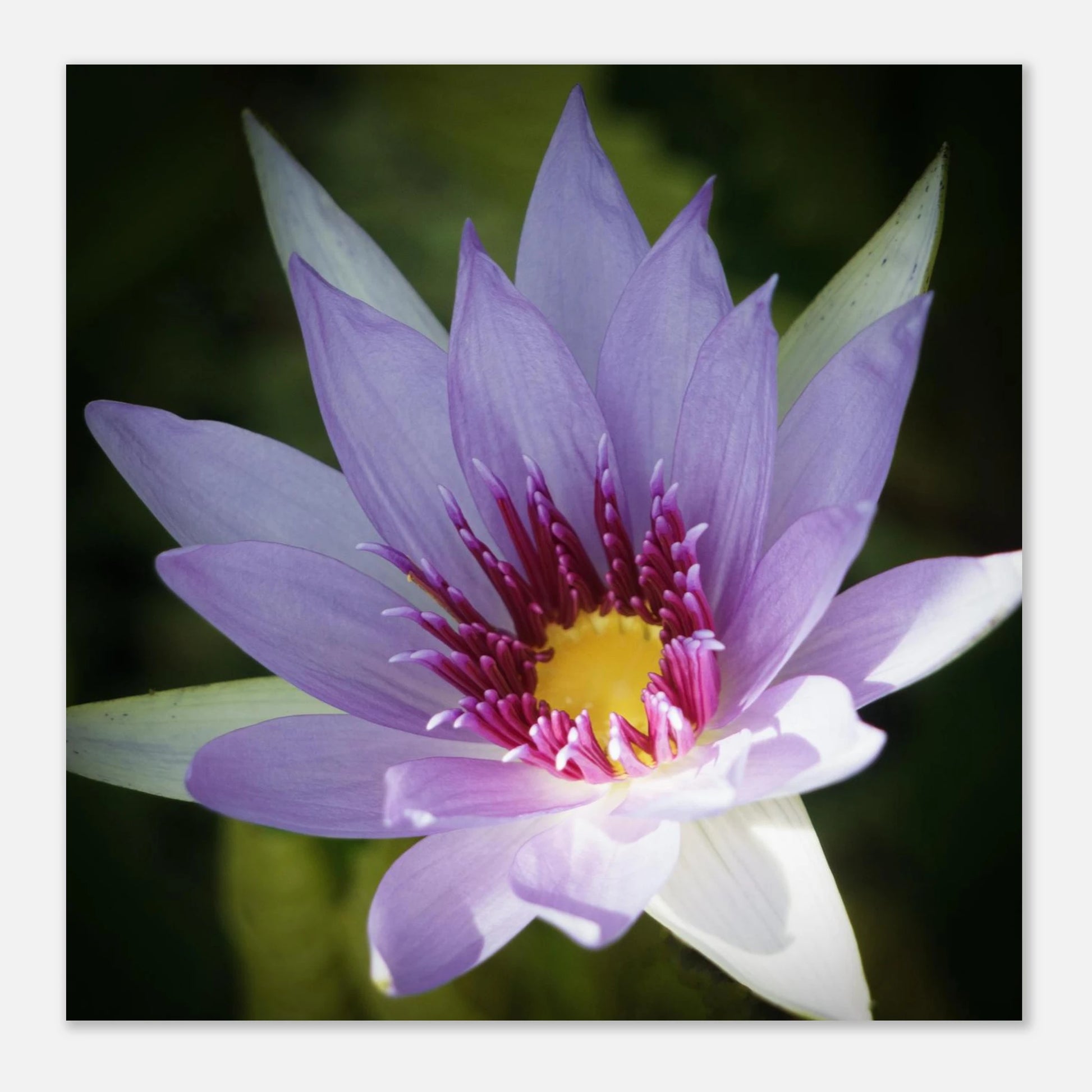 519c1423-8779-47c3-9428-1862952096bd