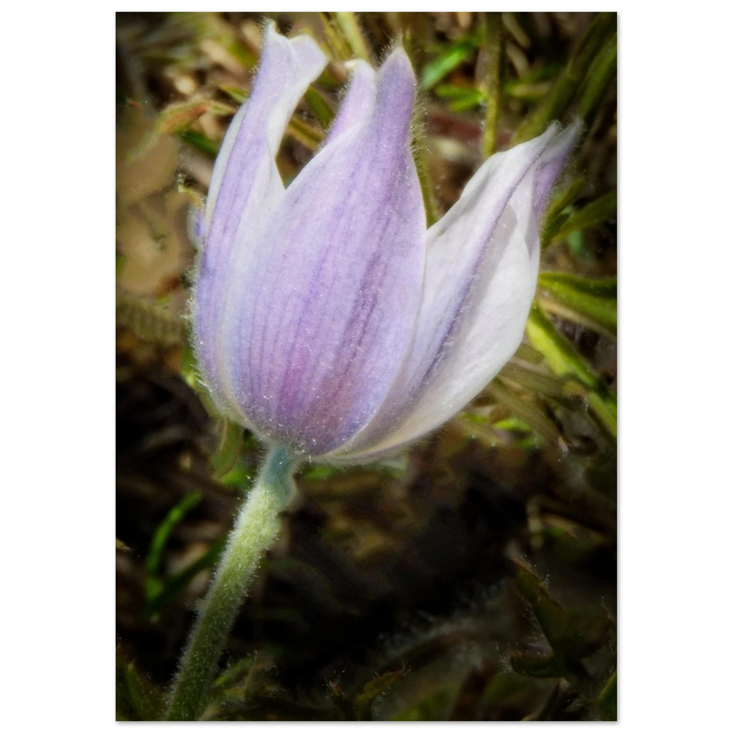 52f36619-acc5-45de-8819-8fb390cde965