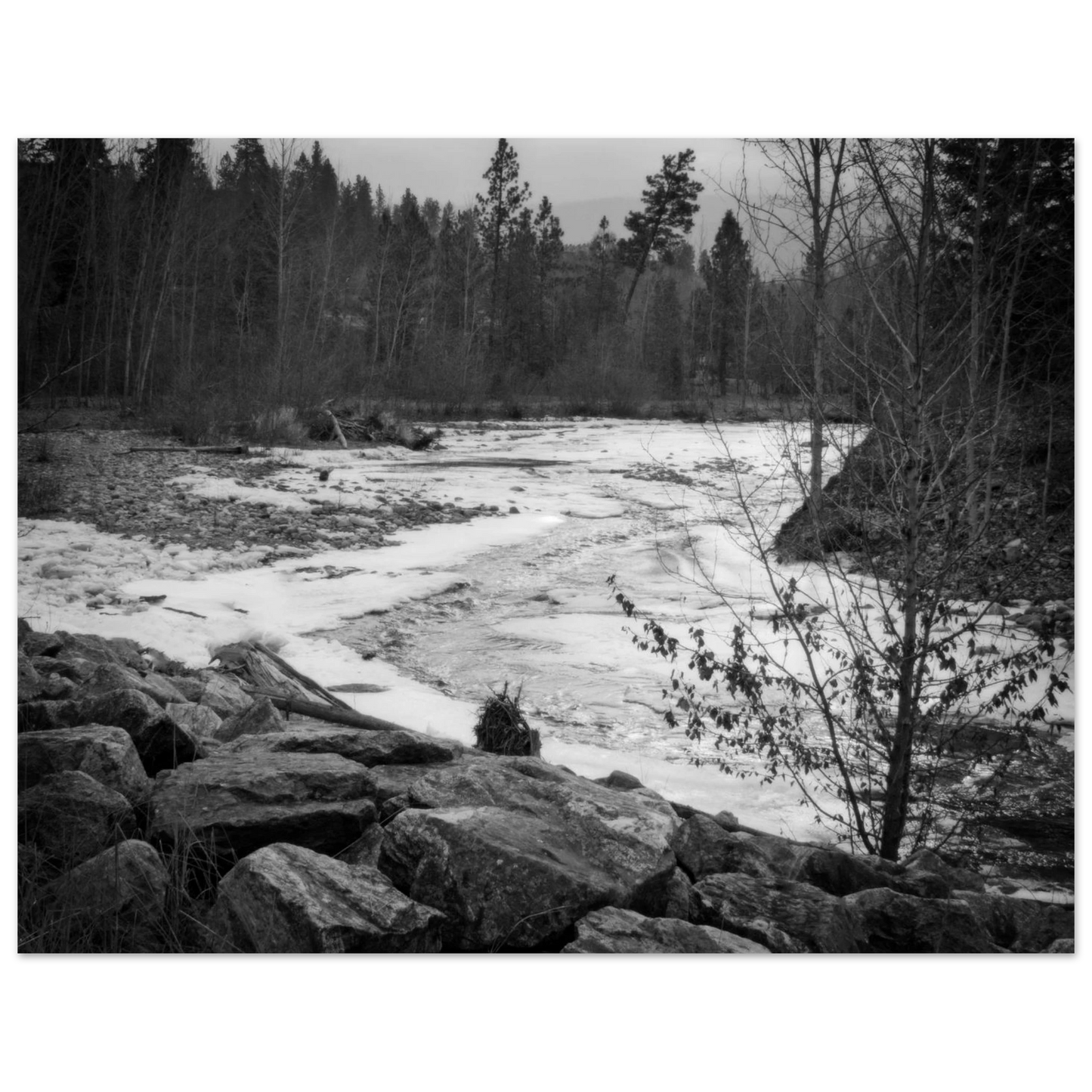 6abd6779-a916-4984-9761-4ee8713b822b