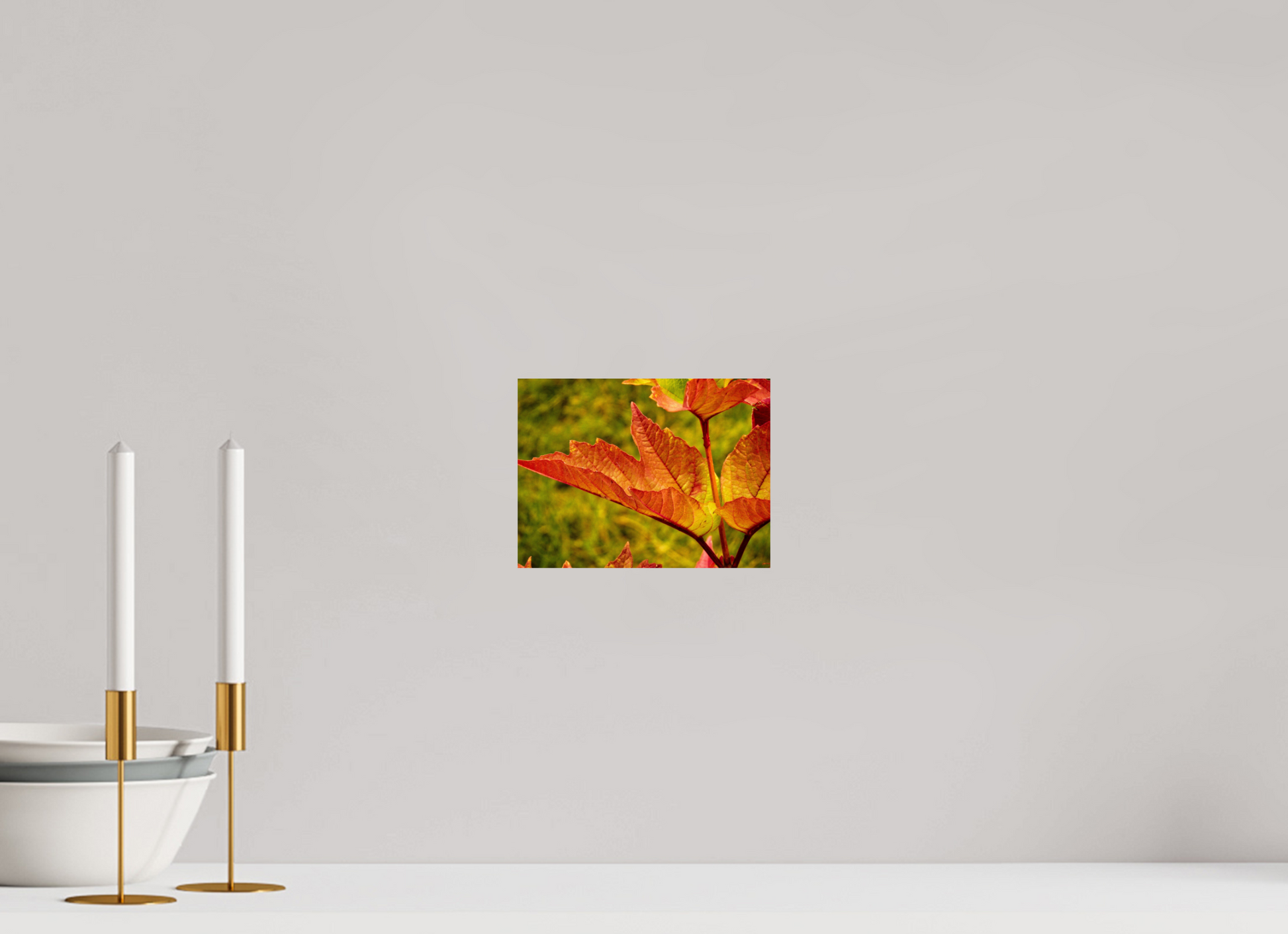 20 x 15 cm, Photo Print On Fuji Crystal DP II Maple Leaf