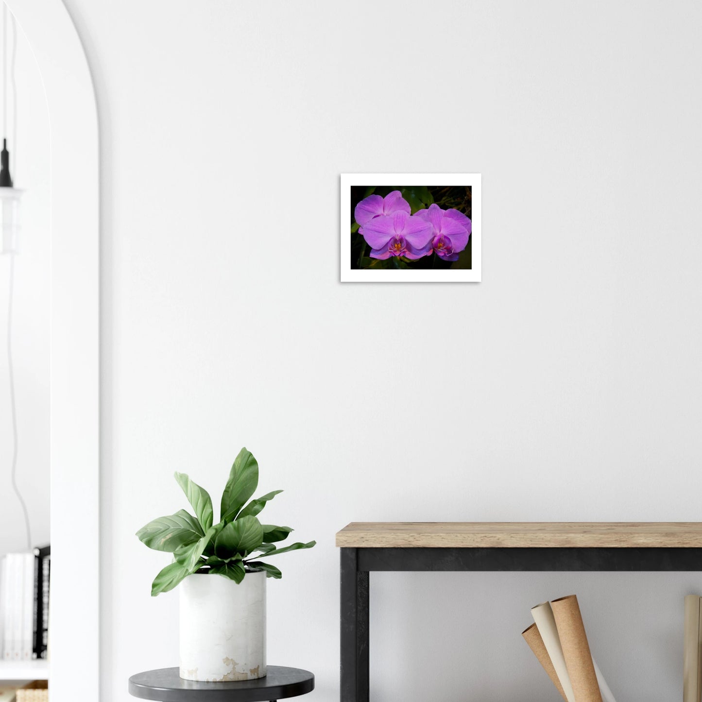 798d4f7b-7246-4b20-a98b-e58c7957b918