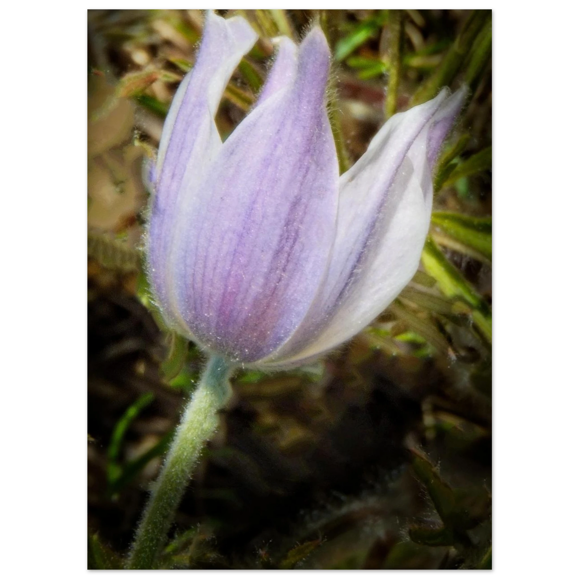 7b521301-ec94-4d29-9589-6e71af2d51d7