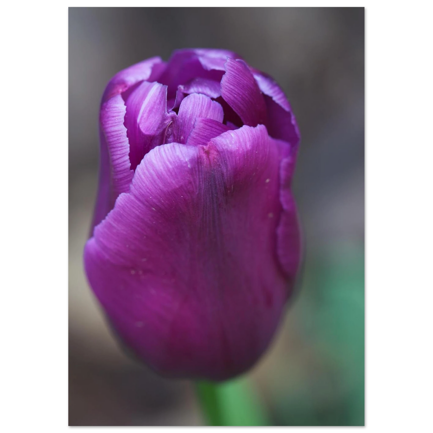 8295f6a0-ed49-47b1-8933-ace85e55b2d7