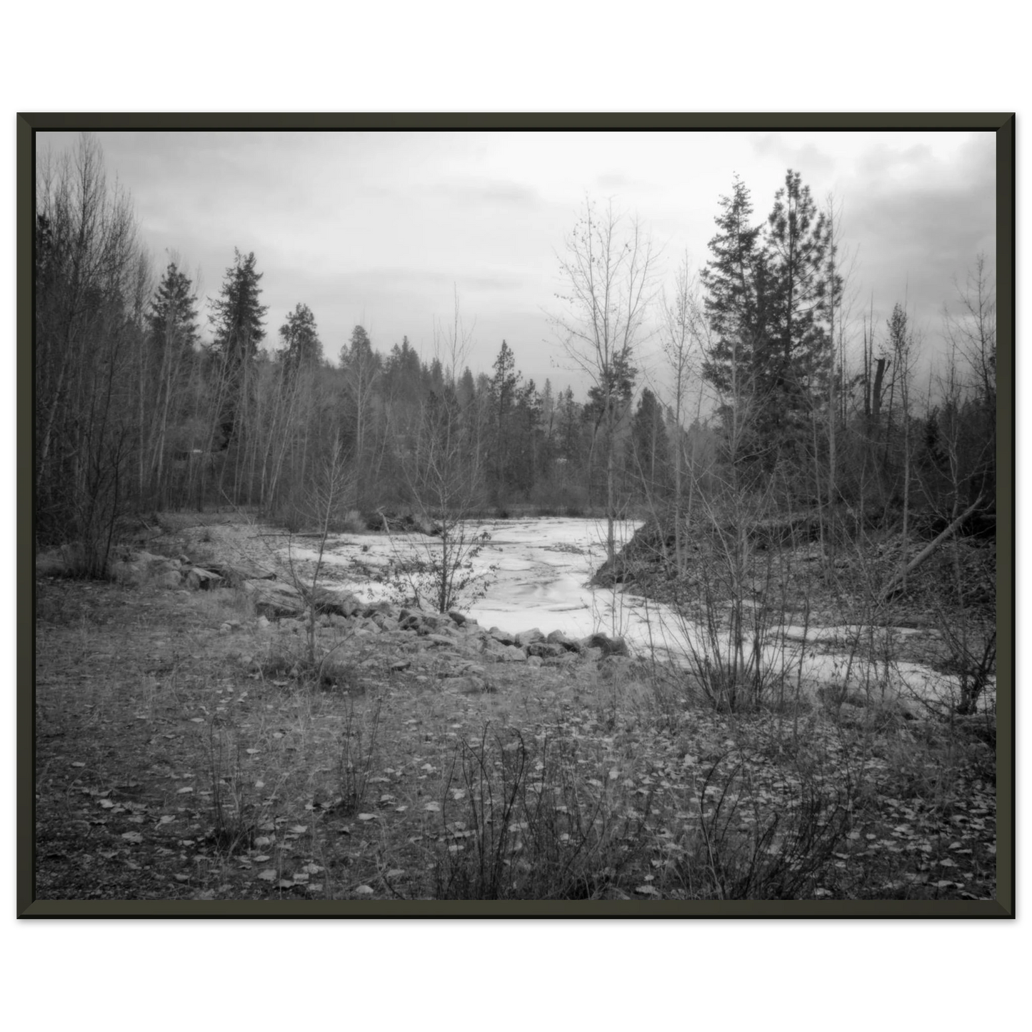 85fb364e-f41a-4f54-87a0-5f6e8e7a0f4b