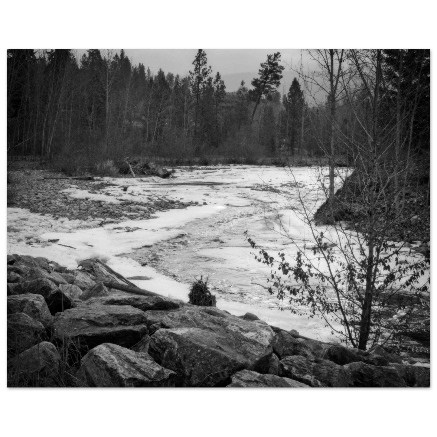 89e00b66-d475-4e8e-a03f-210dde55e7ab