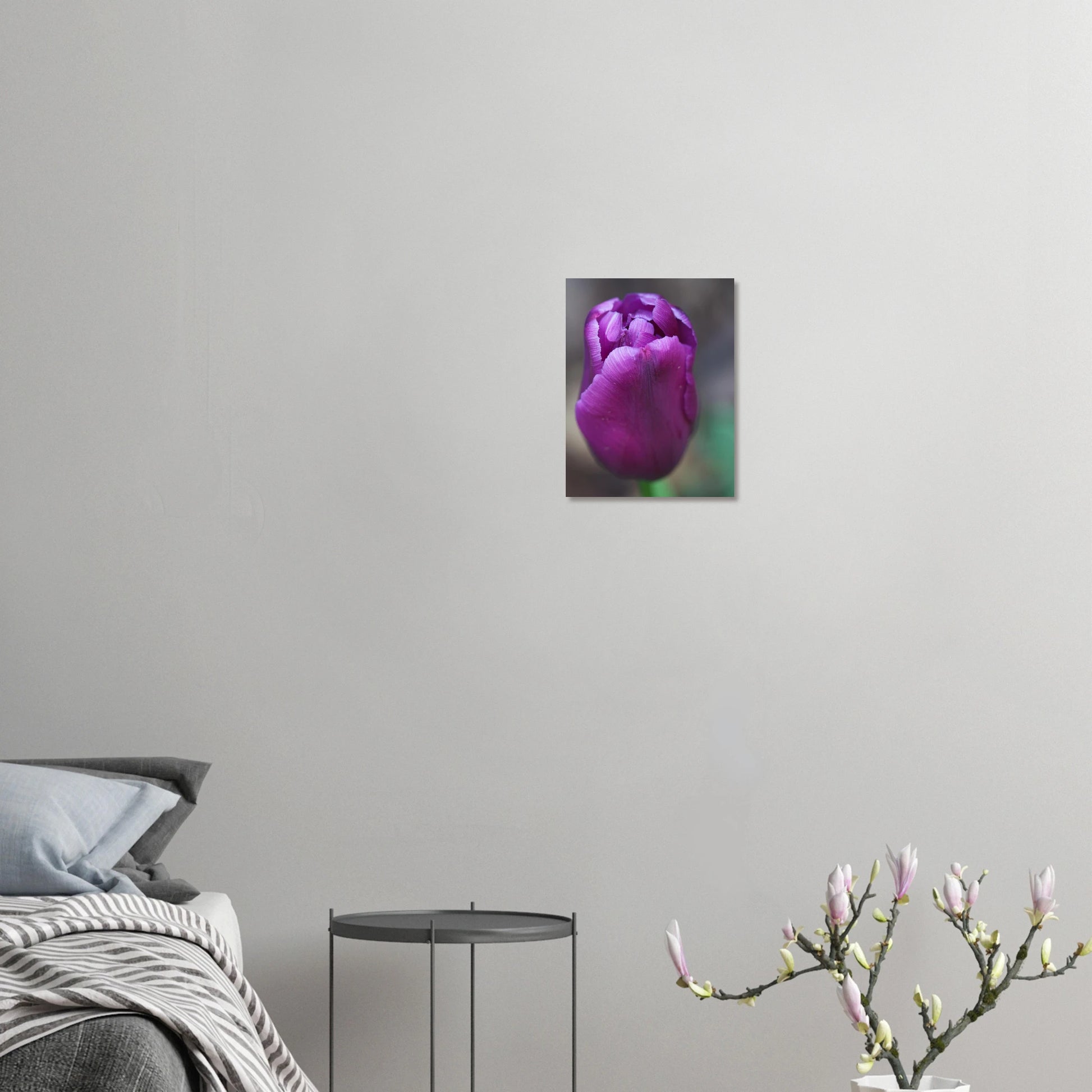 8d42ca6b-1e14-4d74-b616-a6da5ee39020