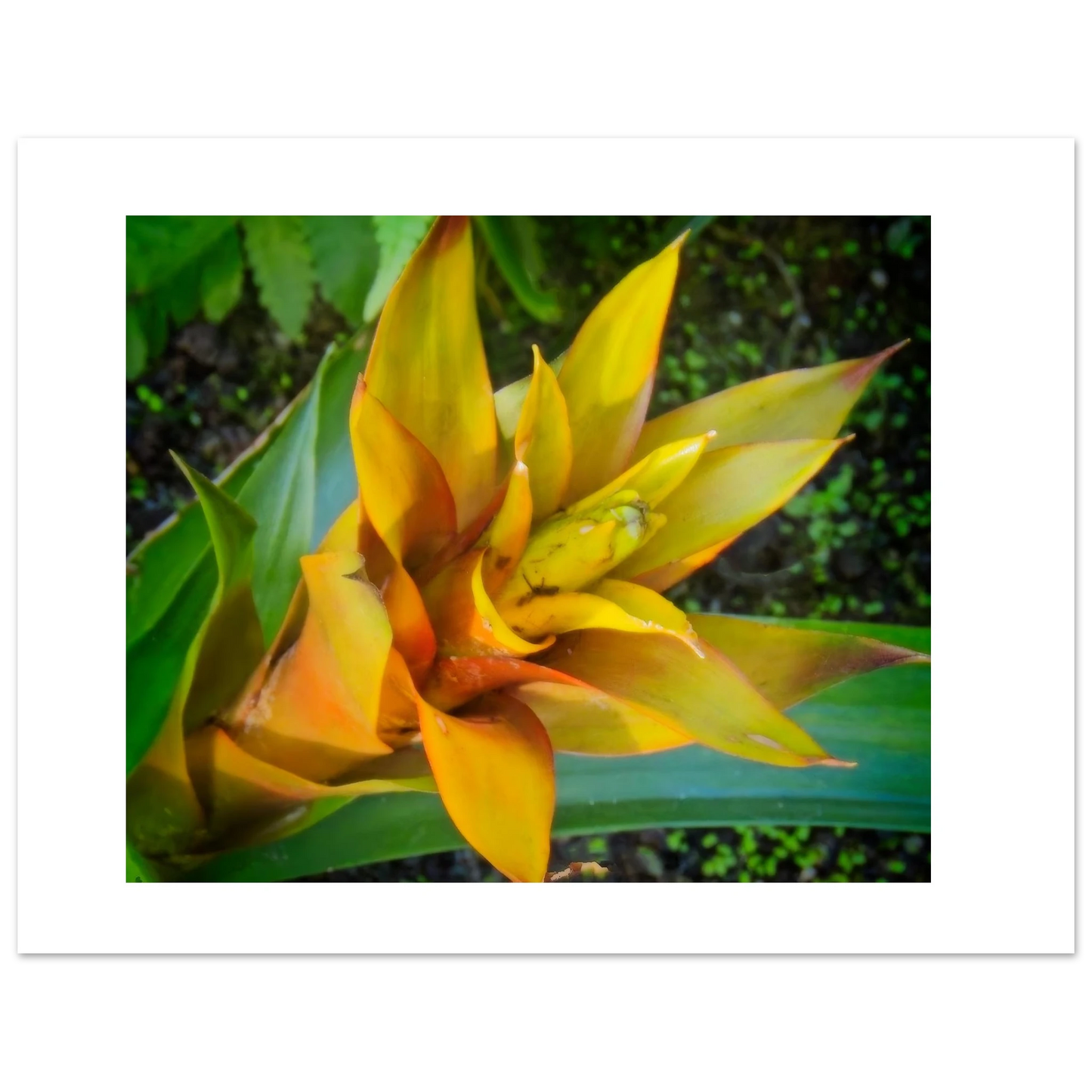 8d7188e3-e82d-4370-b5b5-bd3d36cda620