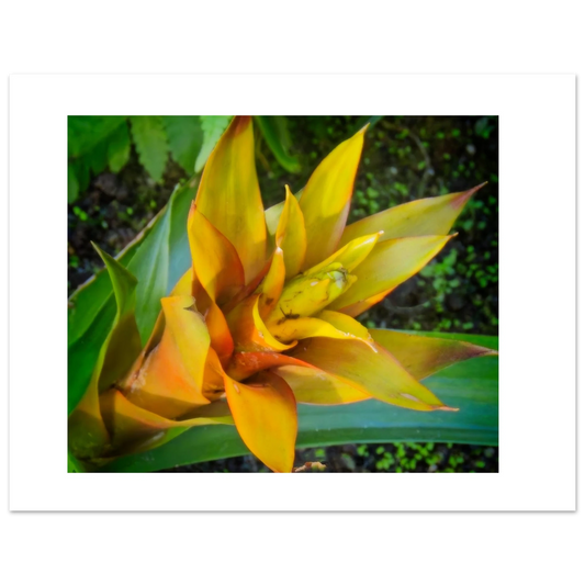 8d7188e3-e82d-4370-b5b5-bd3d36cda620