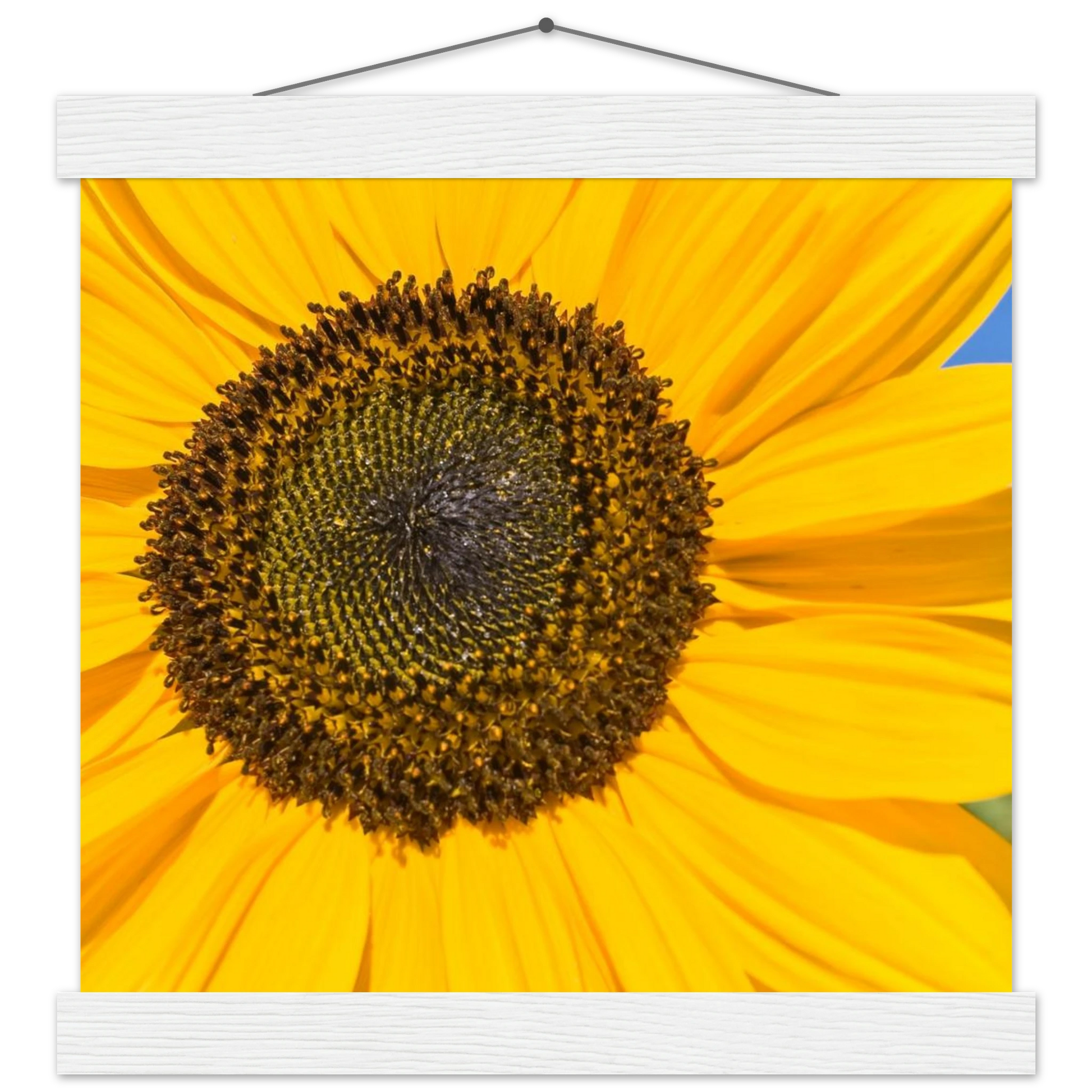 93f3841d-b437-420a-b002-2209683d28d2